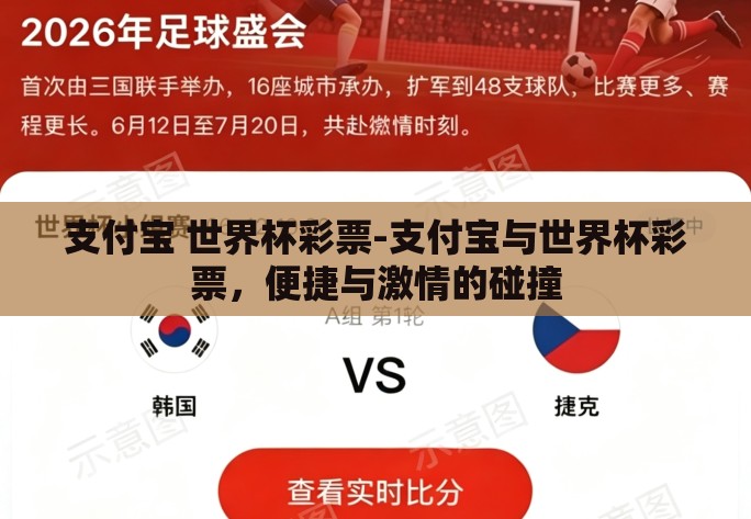 支付宝 世界杯彩票-支付宝与世界杯彩票，便捷与激情的碰撞