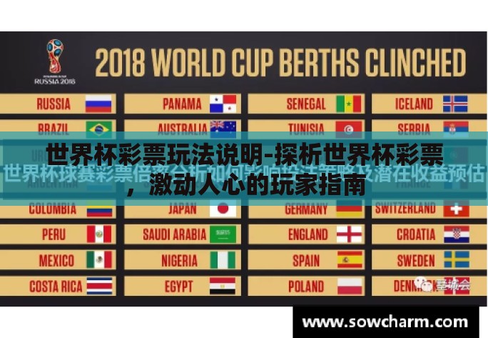 世界杯彩票玩法说明-探析世界杯彩票,激动人心的玩家指南 世界杯彩票玩法说明-探析世界杯彩票,激动人心的玩家指南