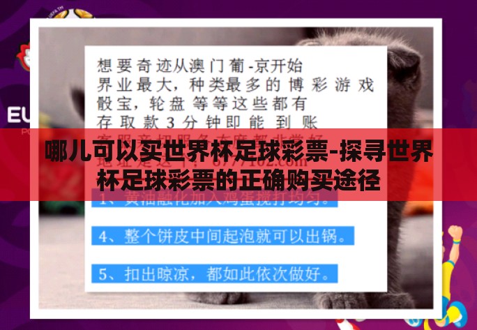 哪儿可以买世界杯足球彩票-探寻世界杯足球彩票的正确购买途径
