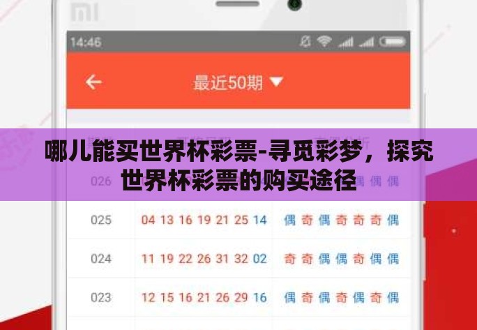 哪儿能买世界杯彩票-寻觅彩梦，探究世界杯彩票的购买途径
